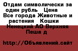 Отдам символически за один рубль › Цена ­ 1 - Все города Животные и растения » Кошки   . Ненецкий АО,Верхняя Пеша д.